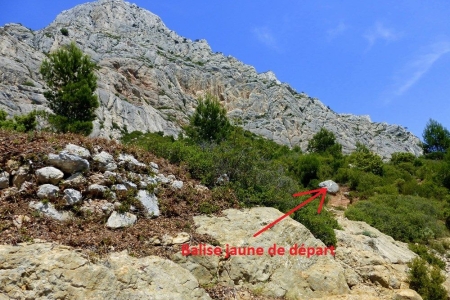 zoom_trace-jaune_ib9